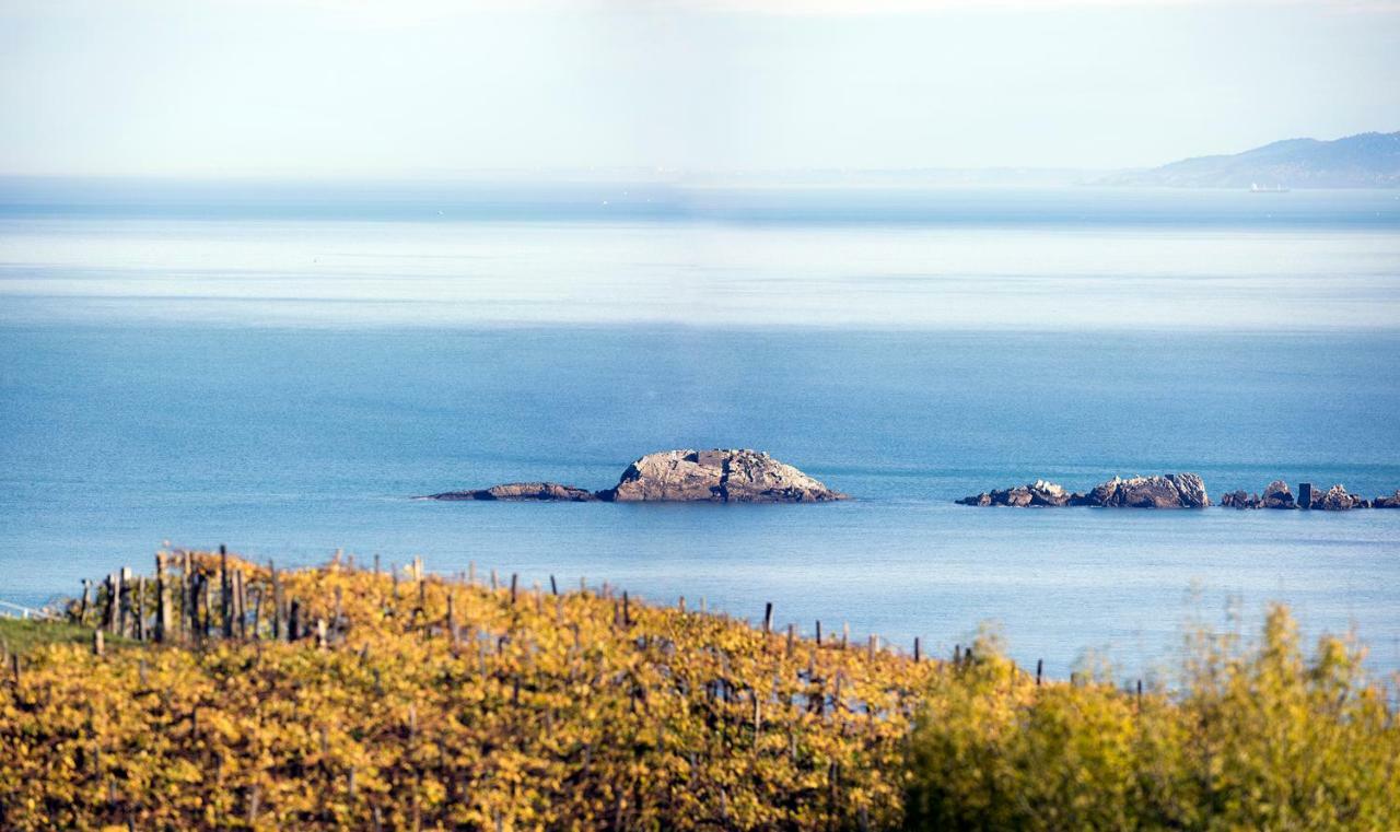 Apartmán Aterian. Sanz Enea Zarautz Exteriér fotografie